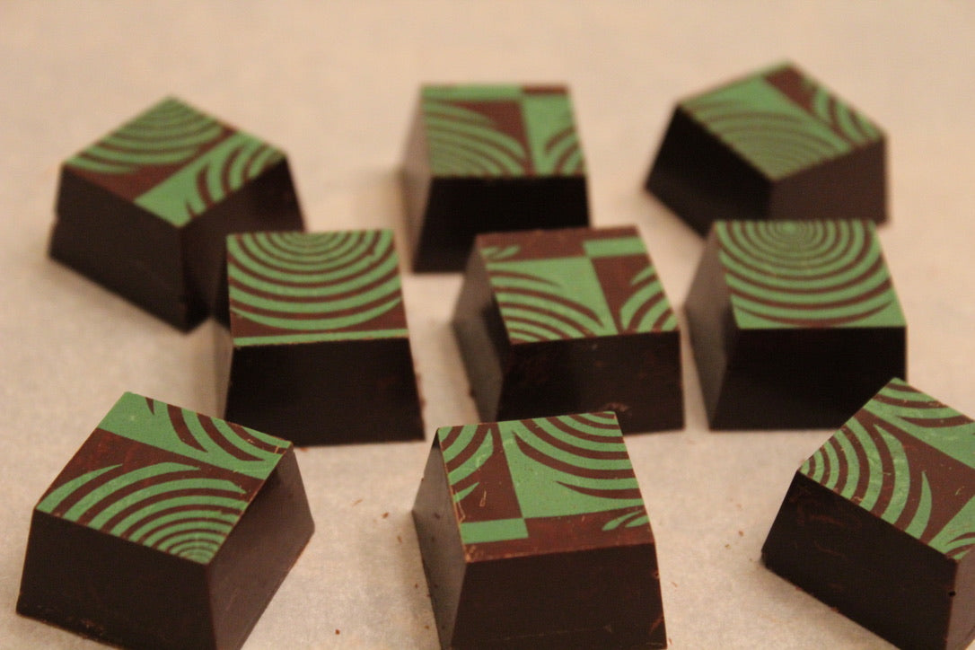 Week 1 Chocolate Explorers Summer Camp 7/6-7/10