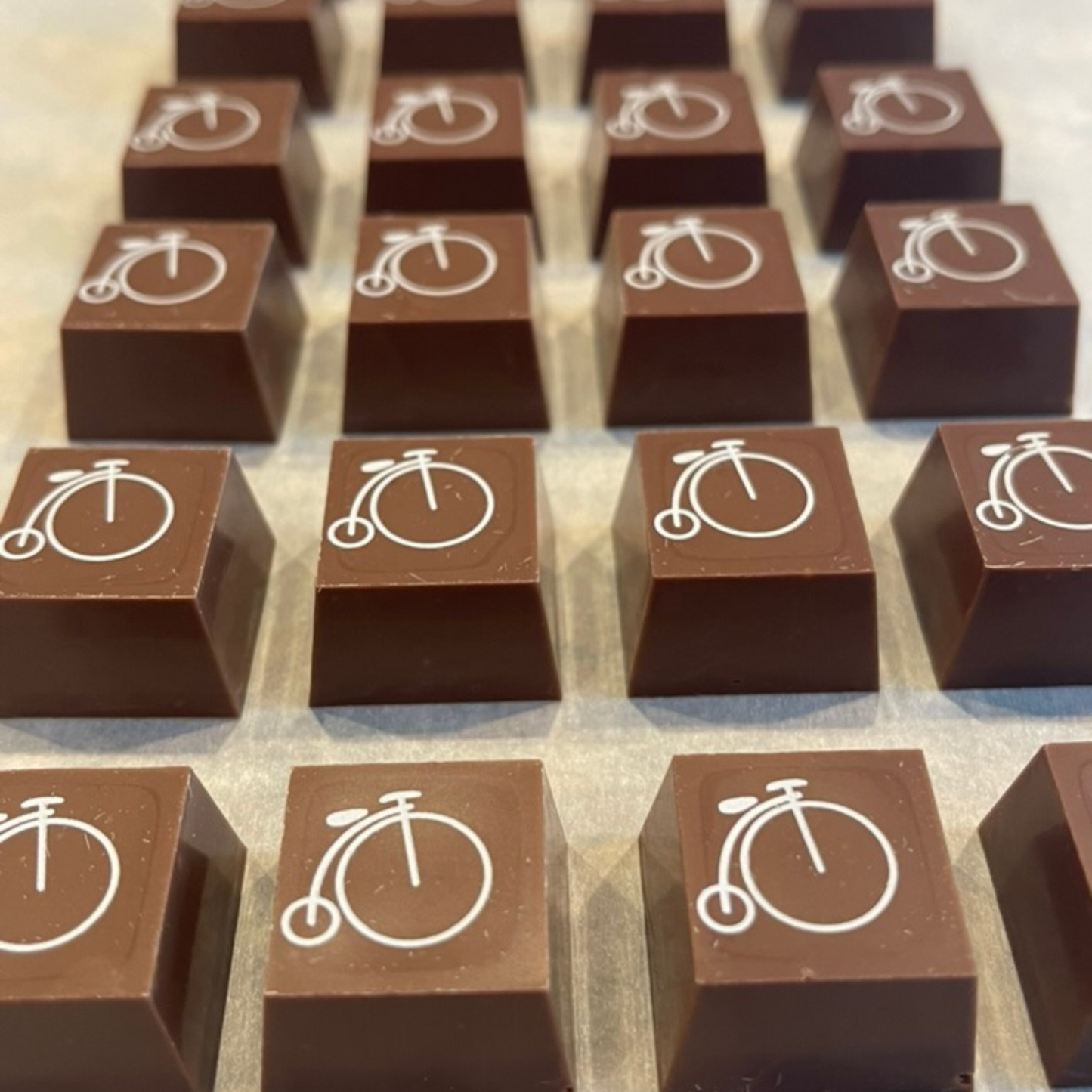 Week 1 Chocolate Explorers Summer Camp 7/6-7/10