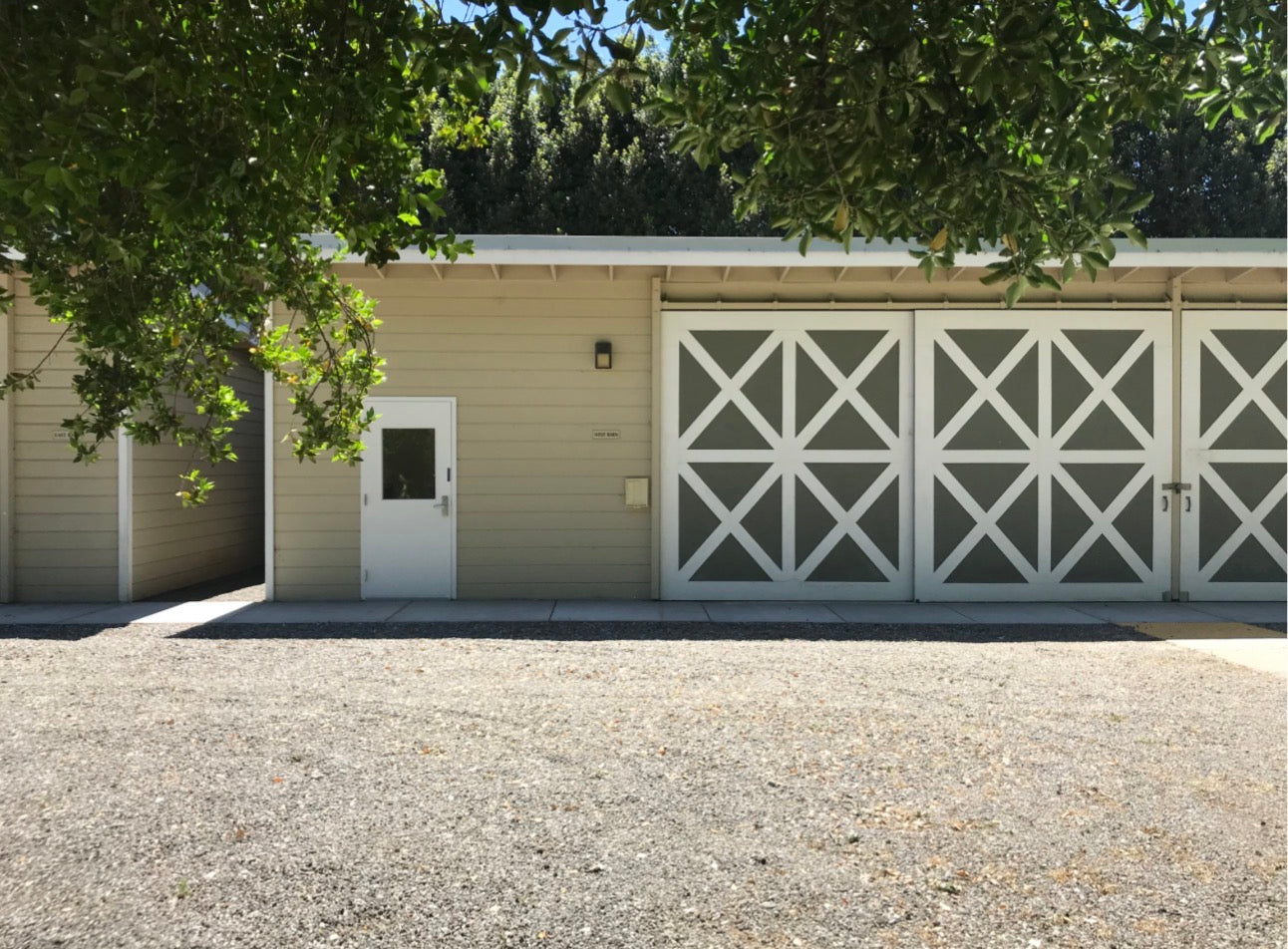 Week 1 Chocolate Explorers Summer Camp 7/6-7/10